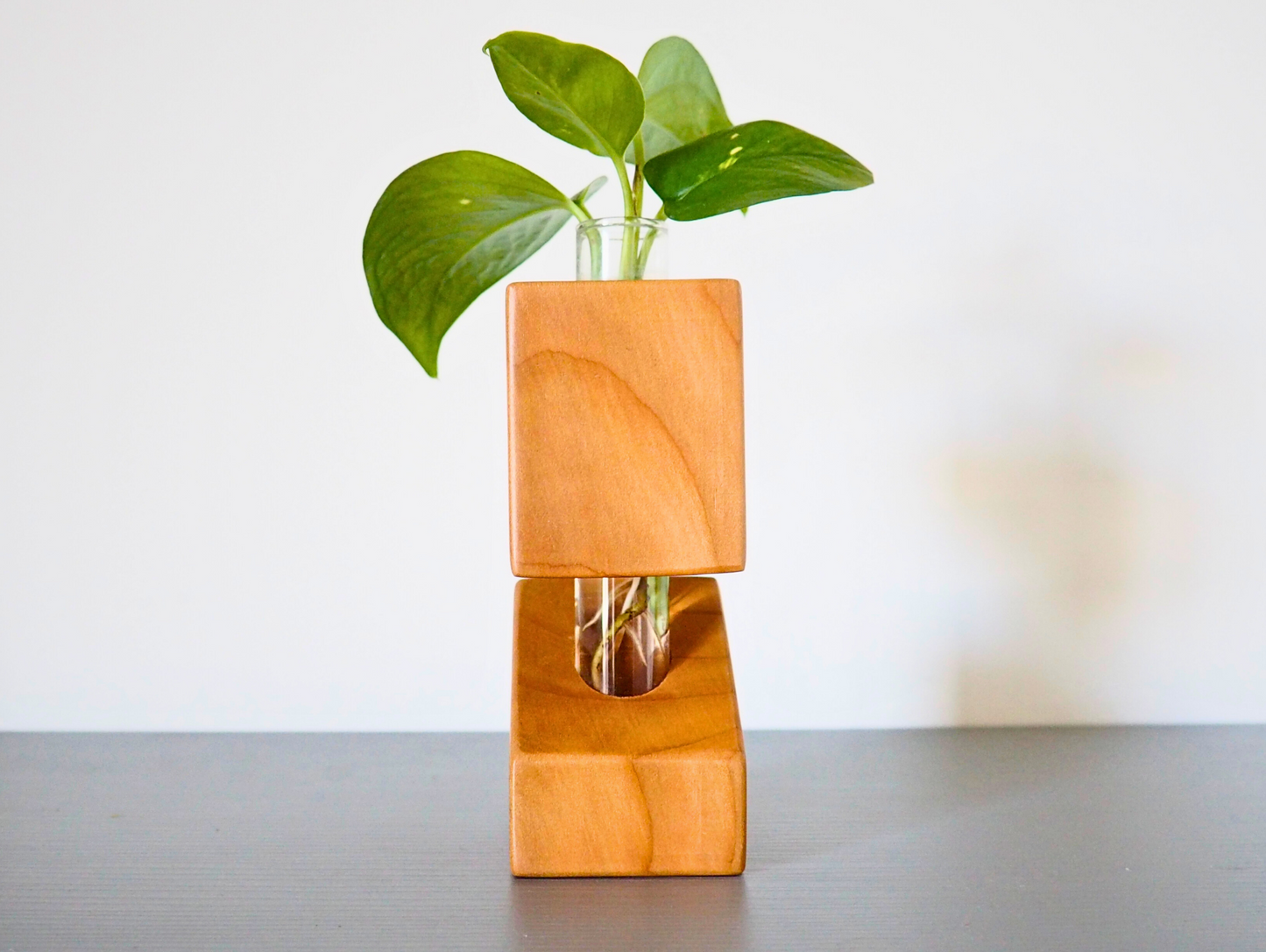 Vaso Propagatore Slice Duo Pitch Pine
