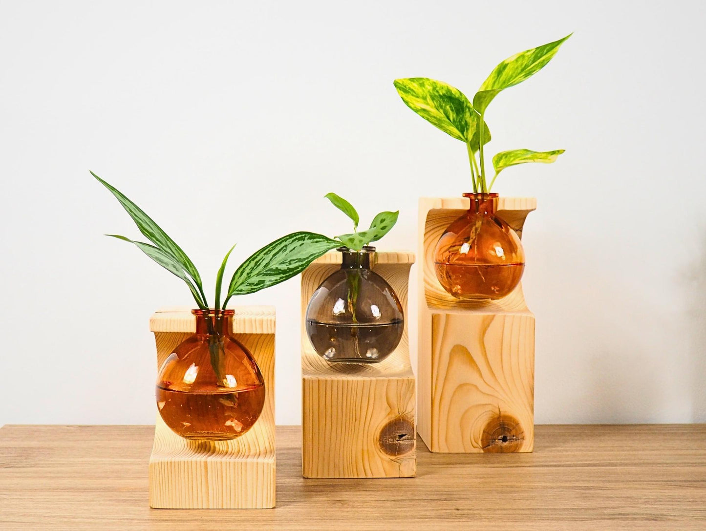 Vaso Propagatore Cruet