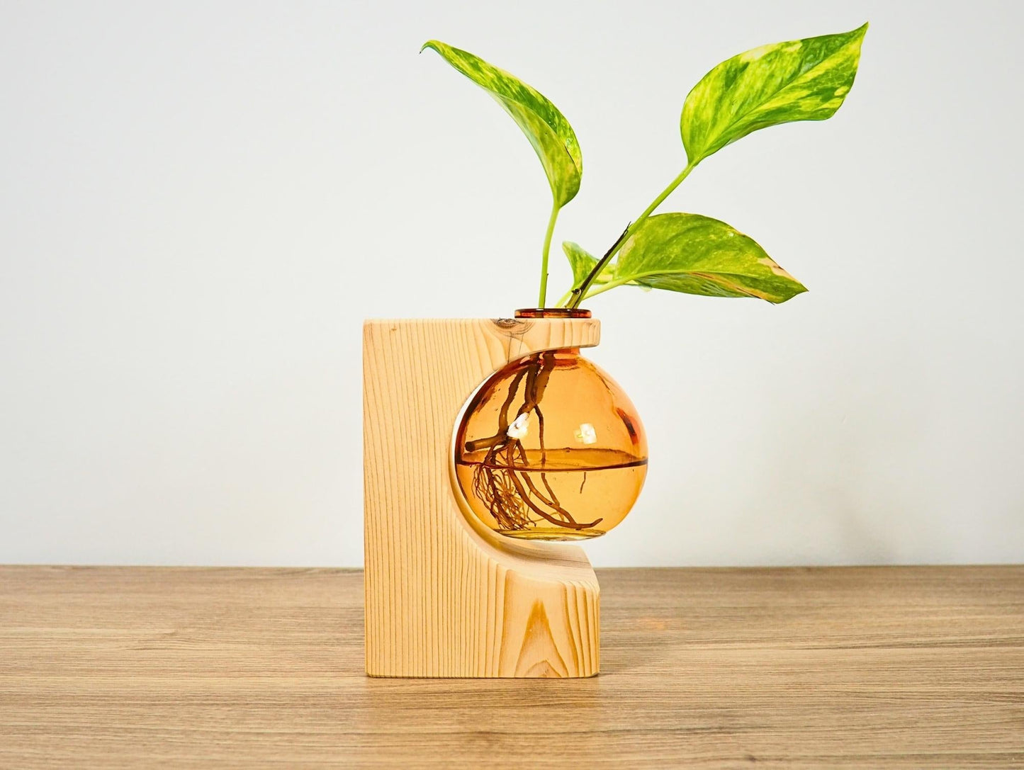 Vaso Propagatore Cruet