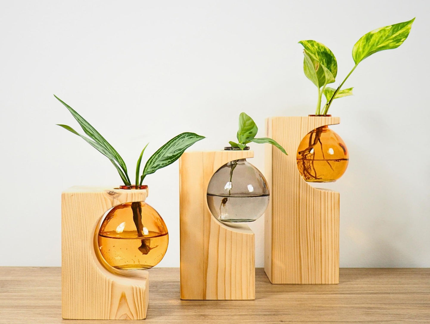 Vaso Propagatore Cruet