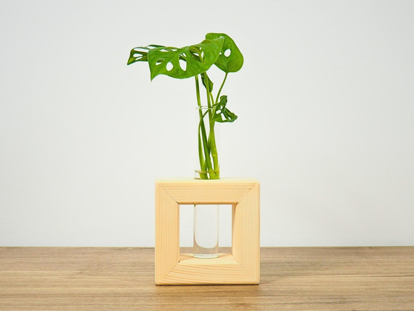 Vaso Propagatore Frame