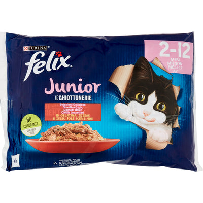 FELIX GHIOTTON.JUNIOR GATTO GR