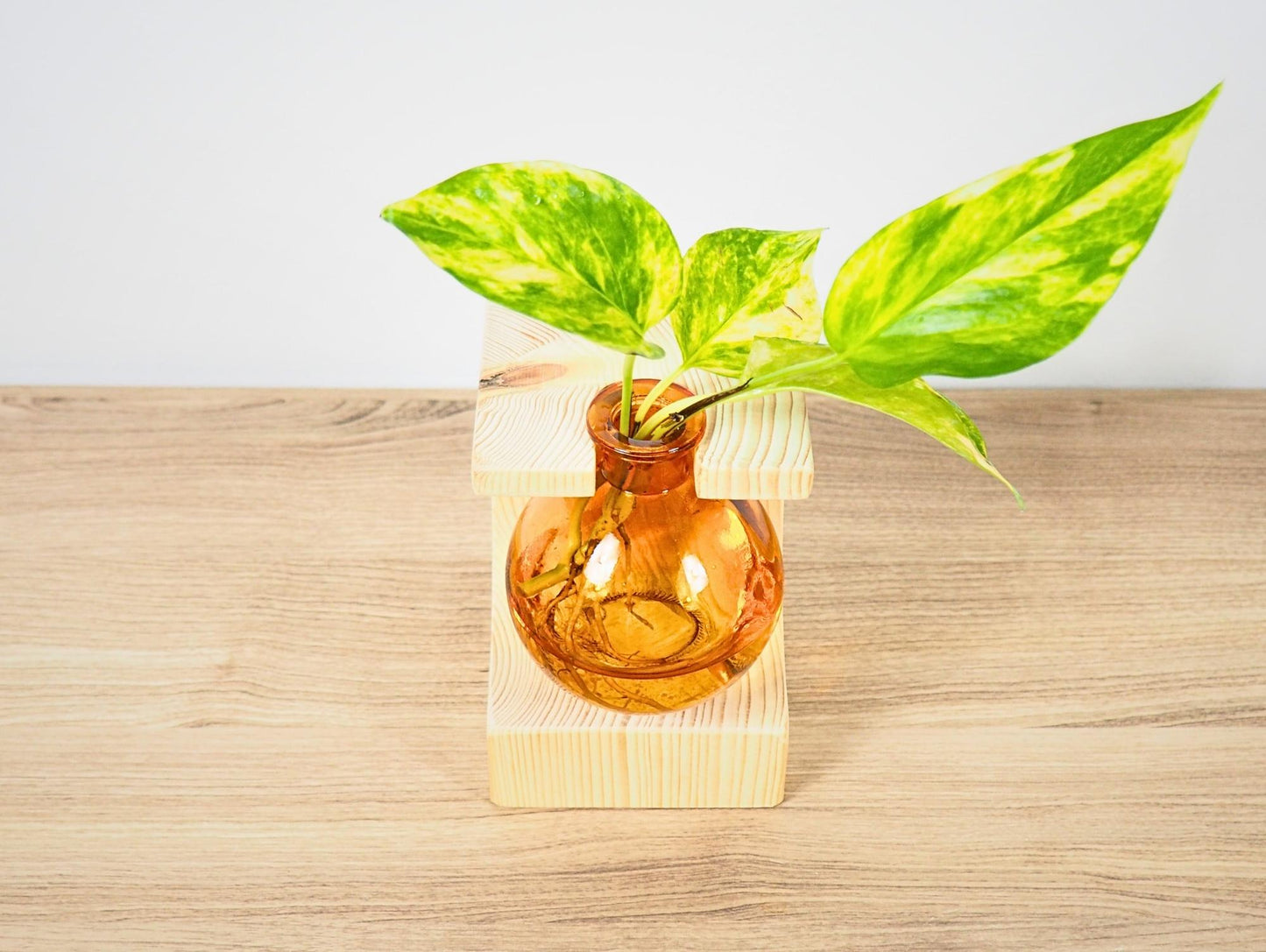 Vaso Propagatore Cruet