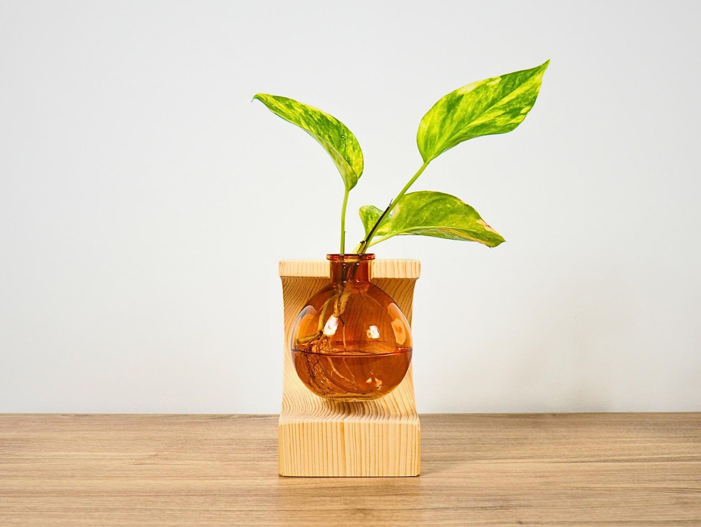 Vaso Propagatore Cruet