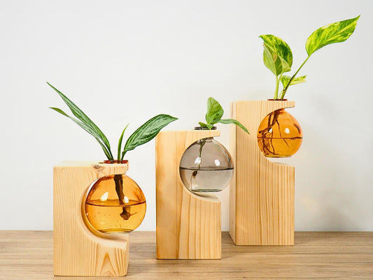 Vaso Propagatore Cruet