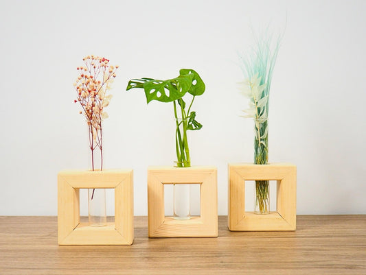 Vaso Propagatore Frame