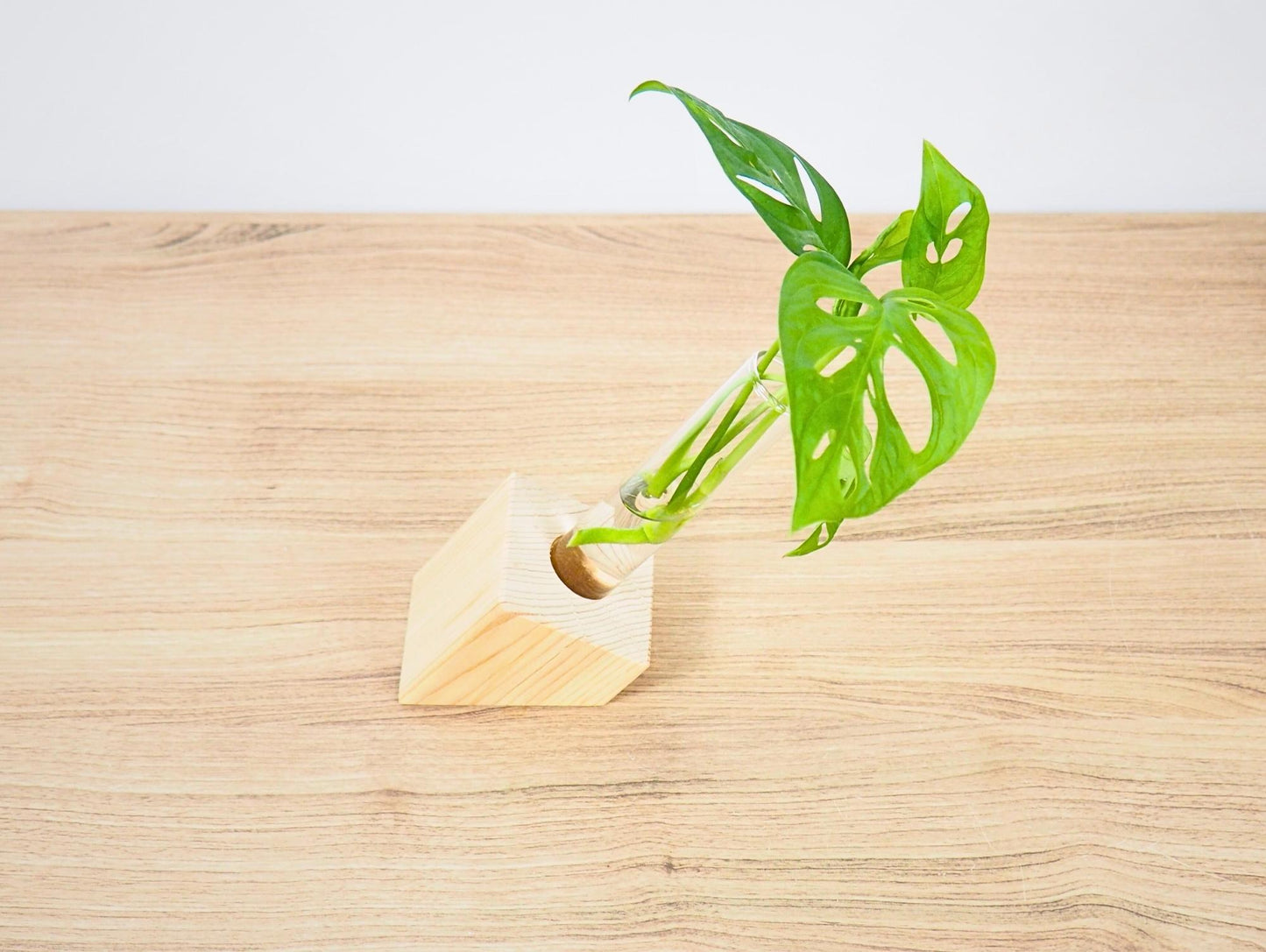 Vaso Propagatore Slice