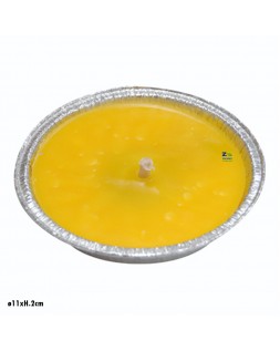 CITRONELLA ALLUM. 11CM
