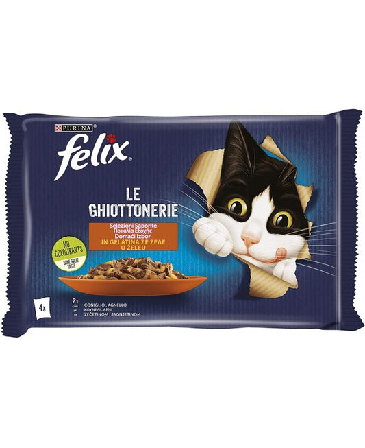 FELIX GHIOTTONERIE GATTO CO/AG